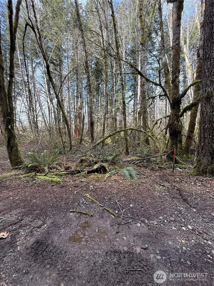 0 NE Beitzel Drive, Belfair, WA 98528 - Image #3