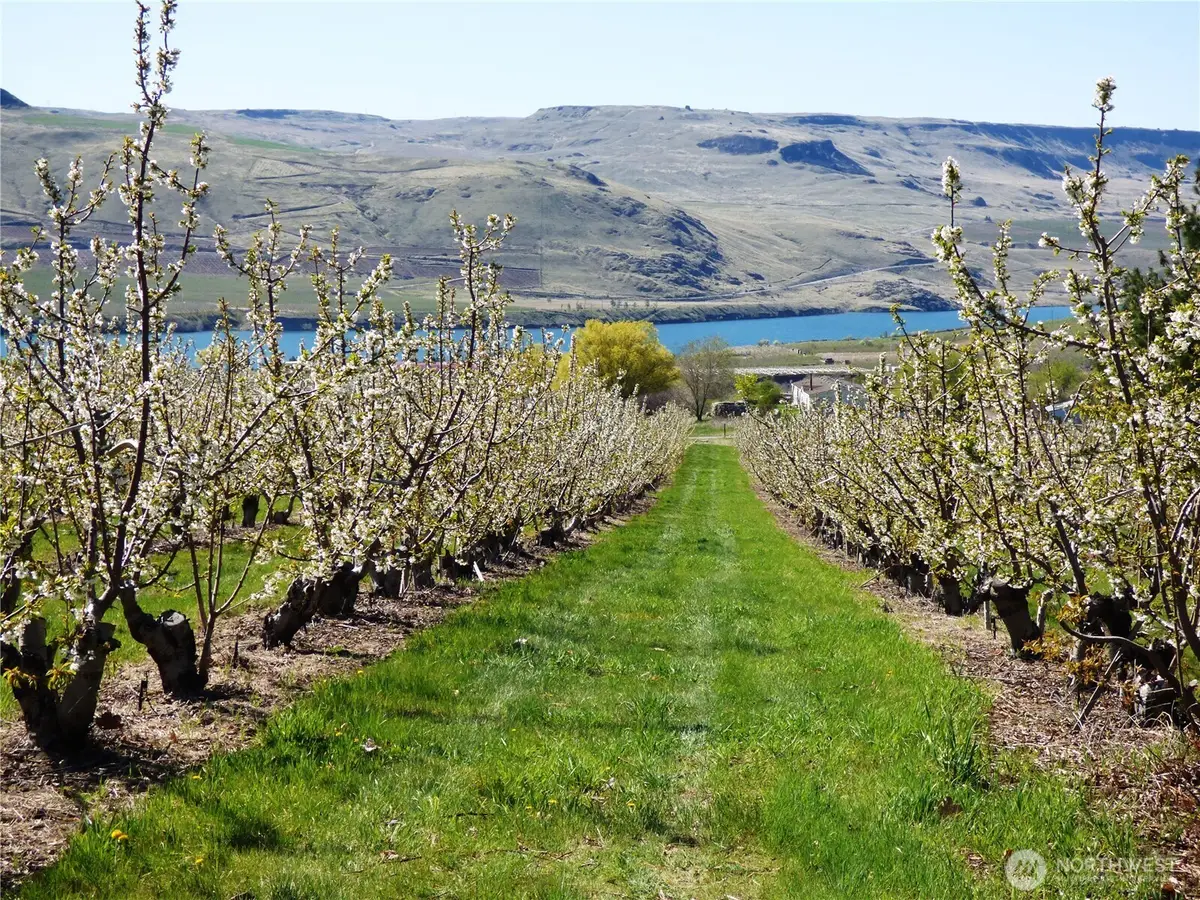 501 Jack Wells Road, Bridgeport, WA 98813 - Image #1