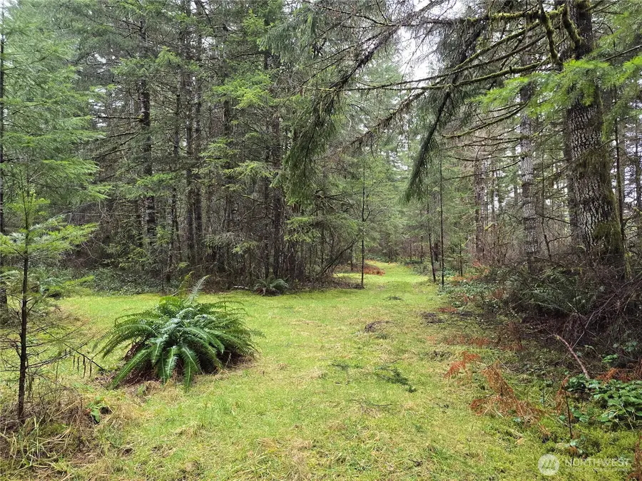0 W Elk Hill Road #1 & 2, Elma, WA 98541 - Image #3