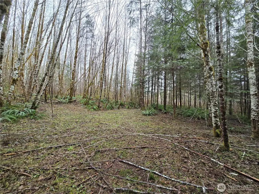 0 W Elk Hill Road #4, Elma, WA 98541 - Image #3