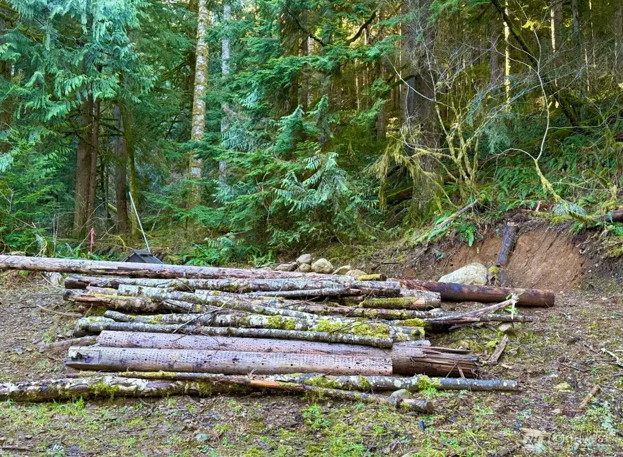 34750 S Shore Drive, Mount Vernon, WA 98274 - Image #3