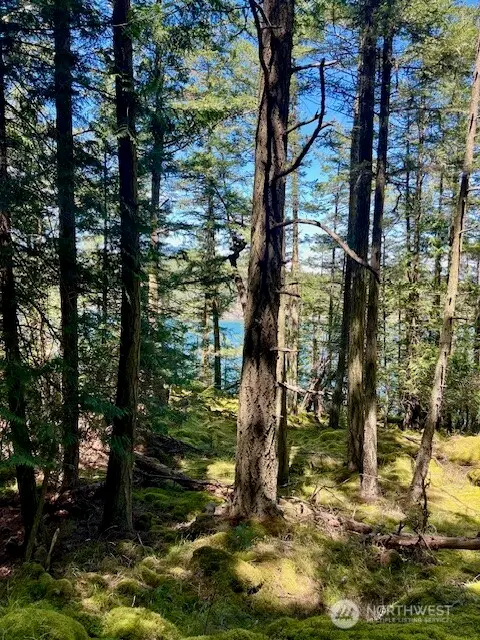 0 Peavine Way #26, Olga, WA 98279 - Image #3