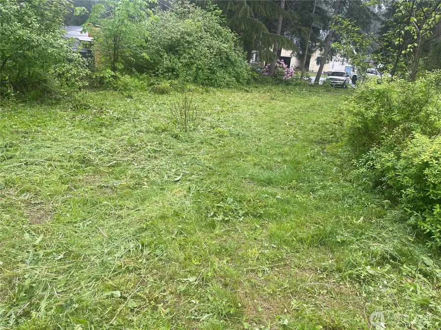 6159 Hawthorne Place #38, Maple Falls, WA 98266 - Image #3