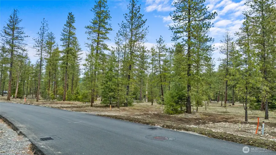 25 Wanawish Loop #25, Cle Elum, WA 98922 - #3