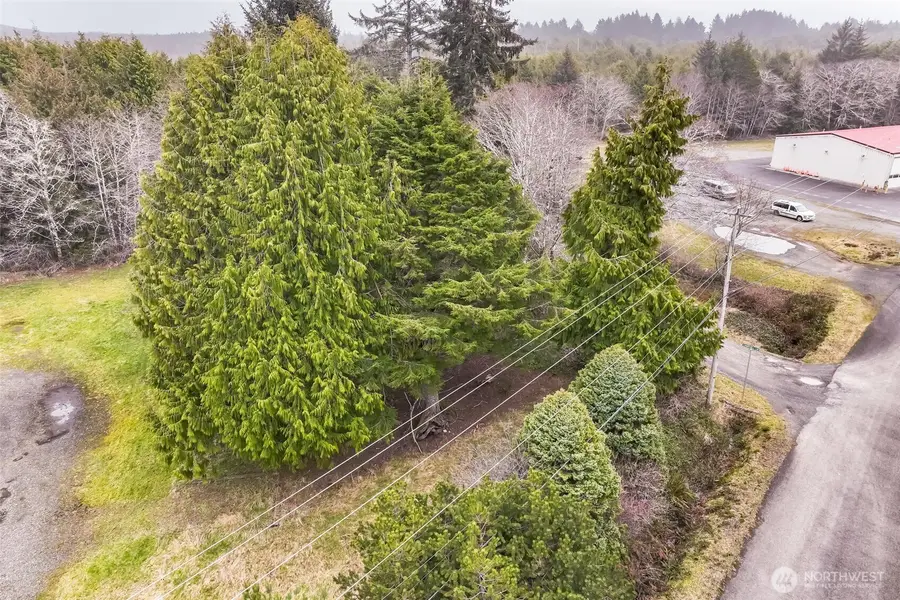 4592 State Route 109, Pacific Beach, WA 98571 - Image #3