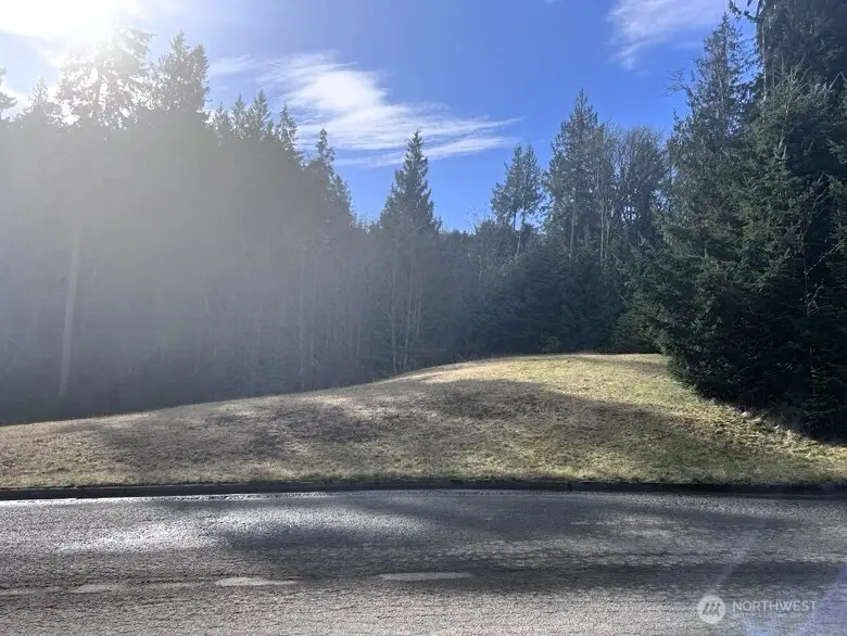 0 Lot 18 Delguzzi Dr, Port Angeles, WA 98362 - Image #3