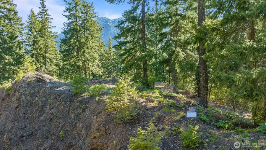 1 Newport Creek Loop #1, Ronald, WA 98940 - Image #2