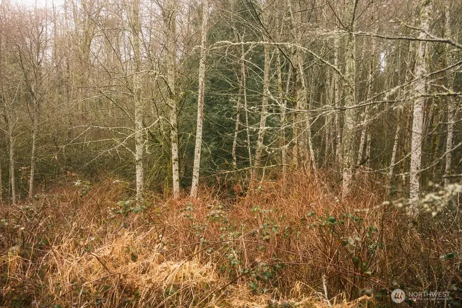 950 Yew Street, Bellingham, WA 98229 - Image #2