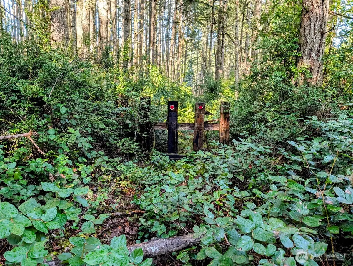 0 30th Street Sw, Lakebay, WA 98349 - Image #1