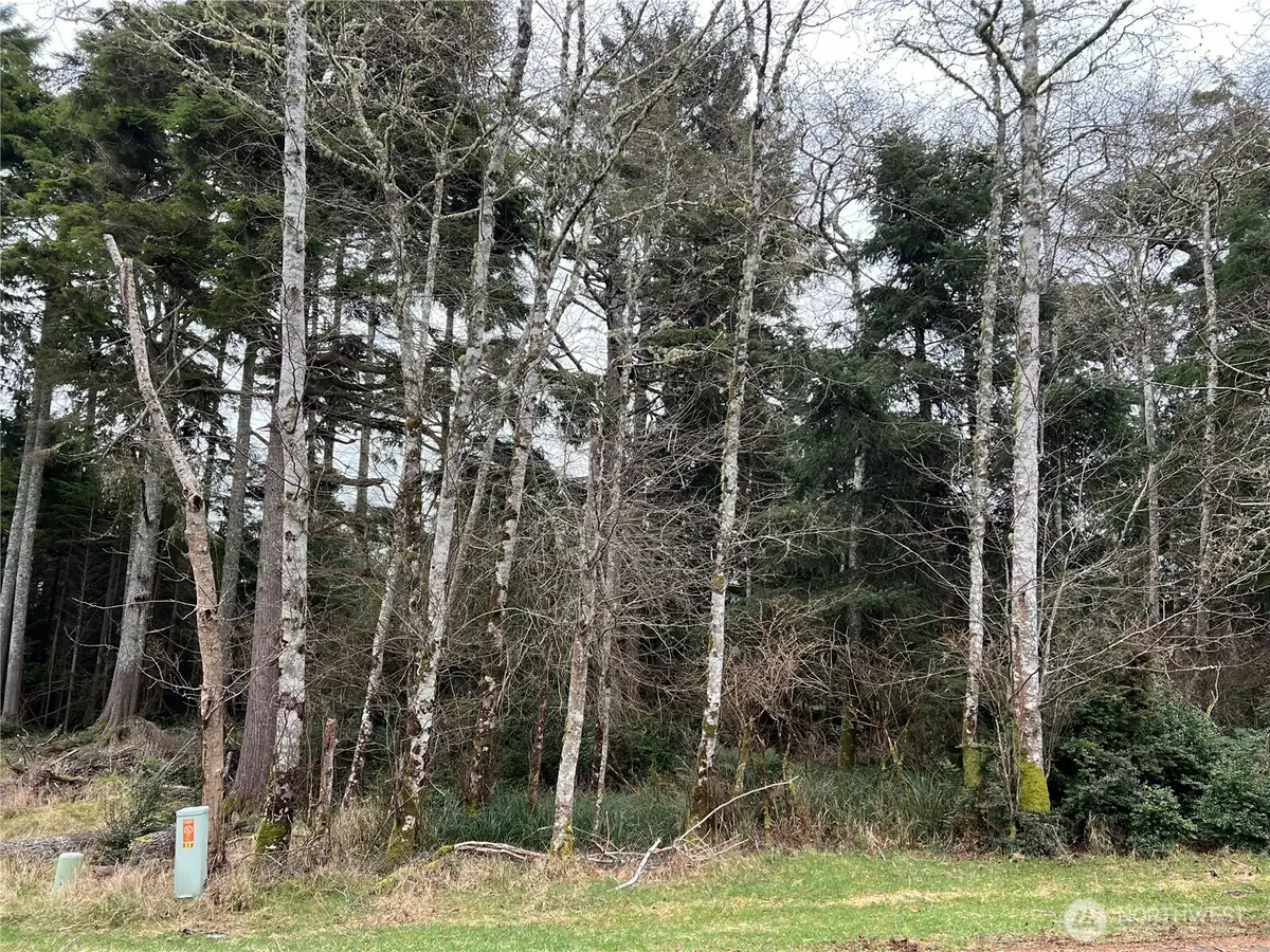 314 Lake View Loop Ne #32, Ocean Shores, WA 98569 - Image #1