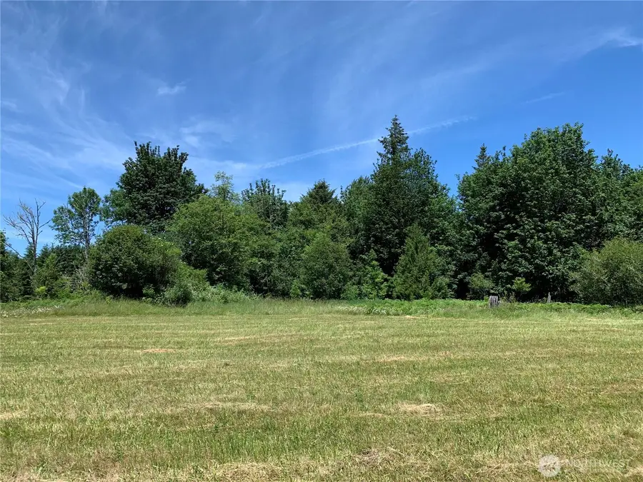 193 Mask Lane, Toutle, WA 98649 - #3