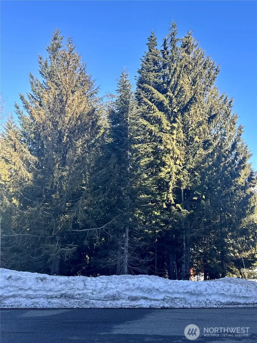 0 Lot 56 Snoqualmie Drive #56, Snoqualmie Pass, WA 98068 - Image #2