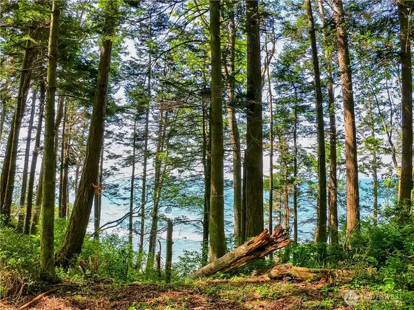 12 Koehn Road #Lot 2-3, Blaine, WA 98230