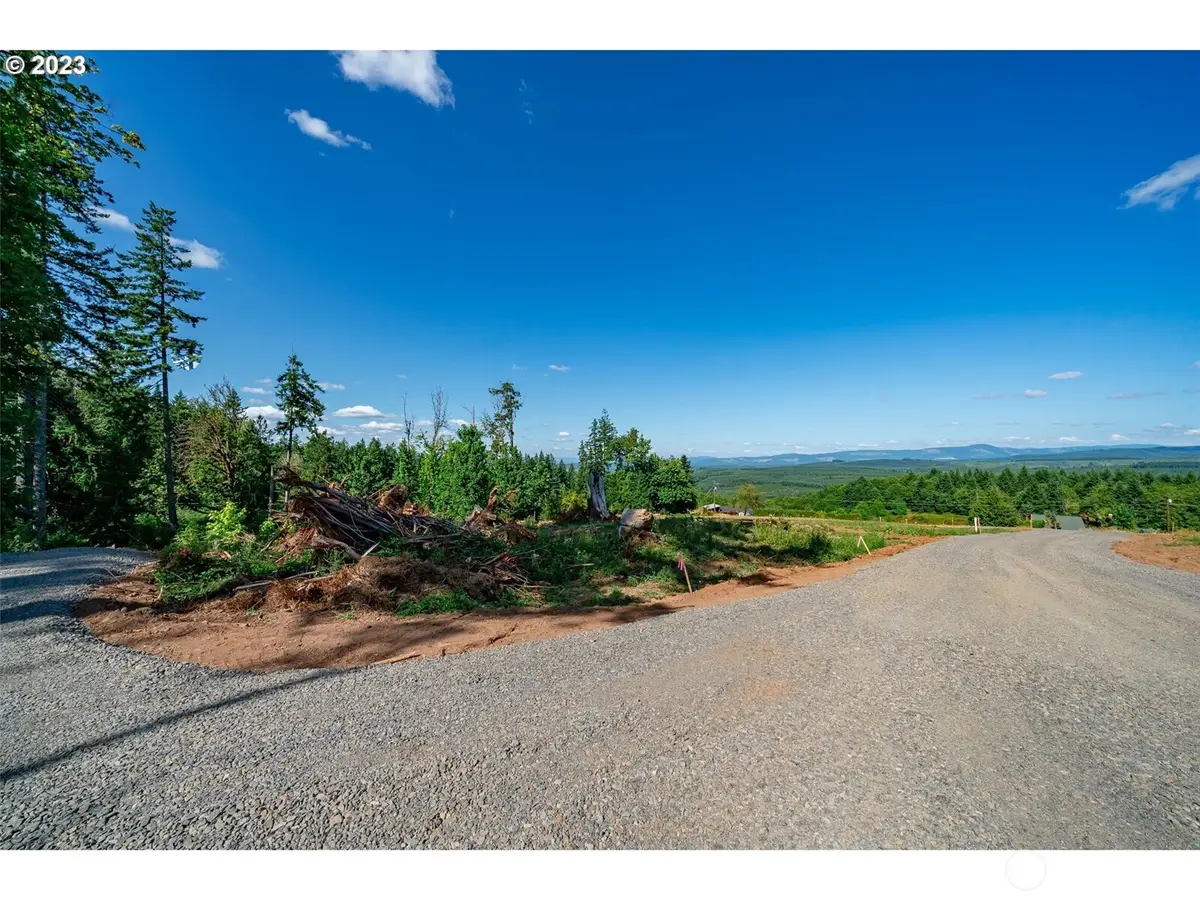 0 S Silver Lake Lot #1 Road, Castle Rock, WA 98611 - Image #1