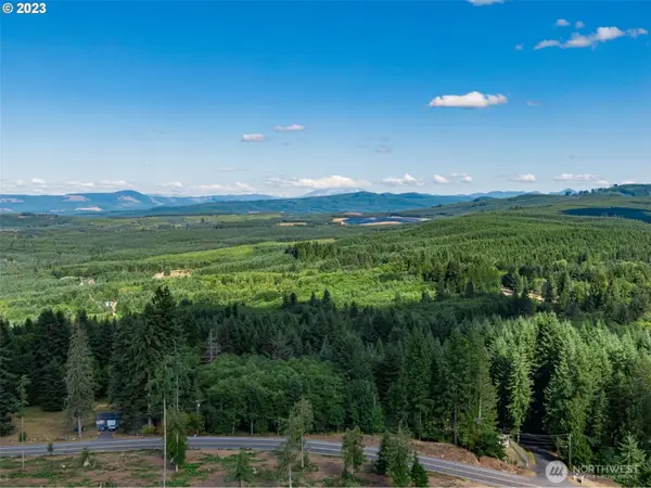 0 S Silver Lake Lot #4 Road, Castle Rock, WA 98611