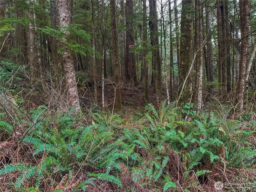 0 Salal Drive, Copalis Beach, WA 98535 - Image #2