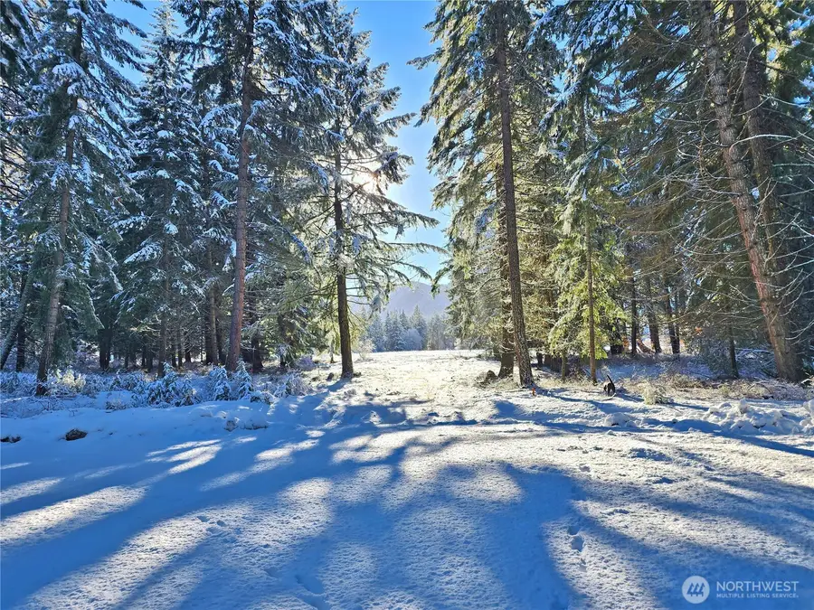 0 Nelson View Way #5, Cle Elum, WA 98922 - Image #2