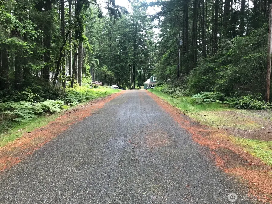 11205 110th Street, Anderson Island, WA 98303 - Image #3