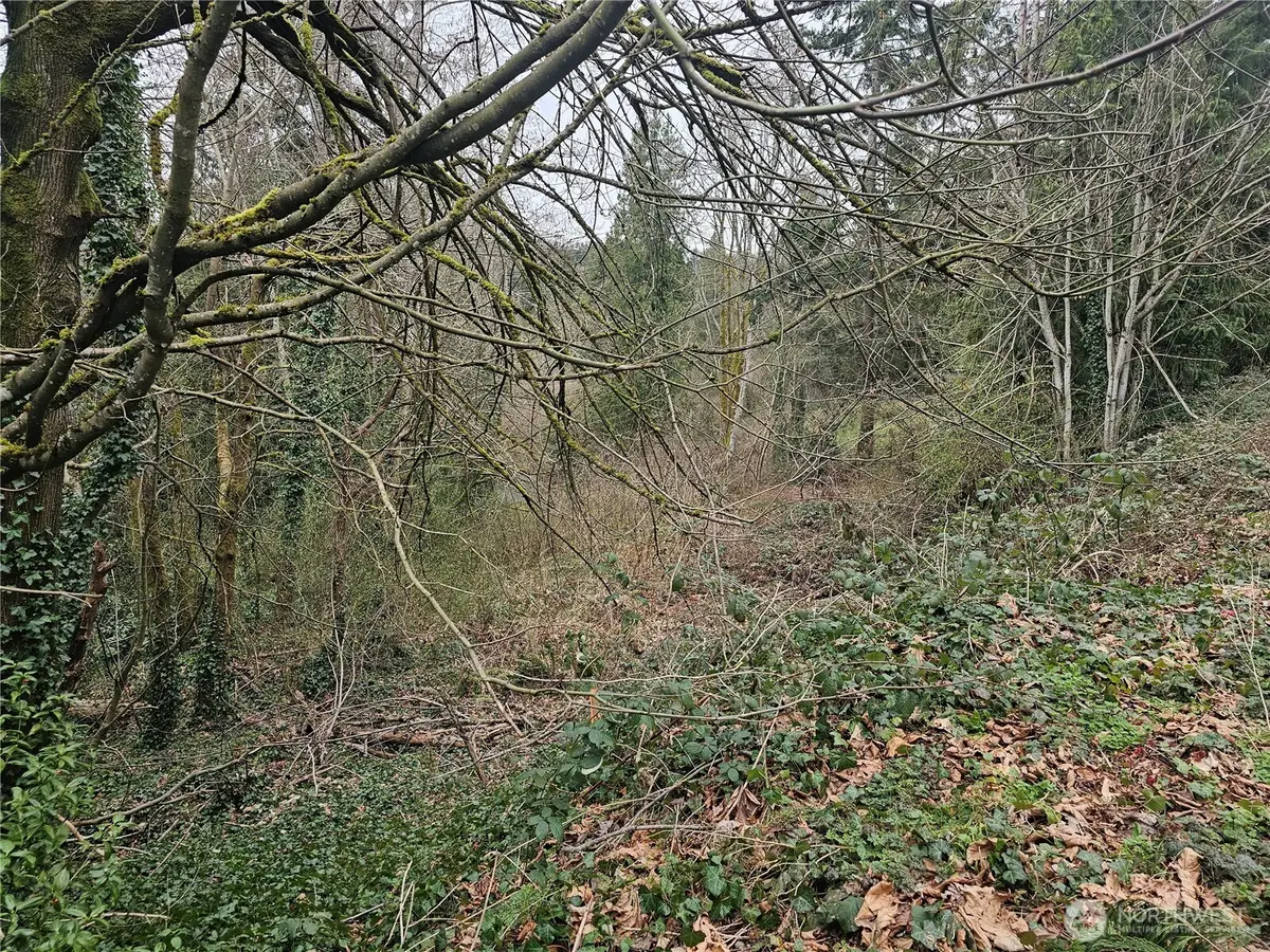 194 Xx Forest Park Drive Ne, Lake Forest Park, WA 98155 - Image #1