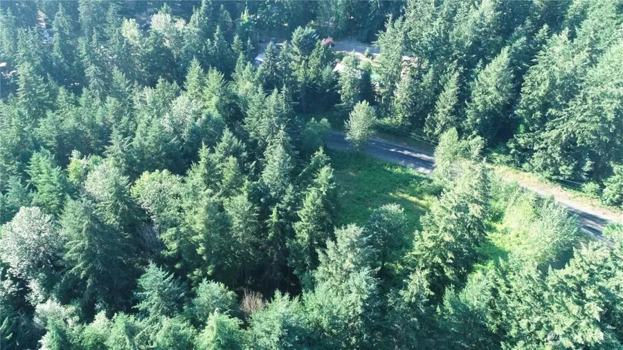 19728 Forest Canyon Road E, Sumner, WA 98390 - Image #3
