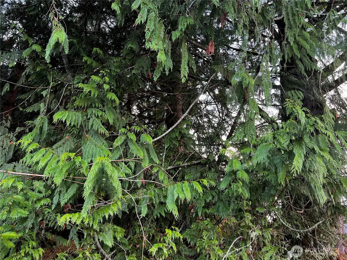 0 Twin Cedars Drive, Clinton, WA 98236 - Image #1