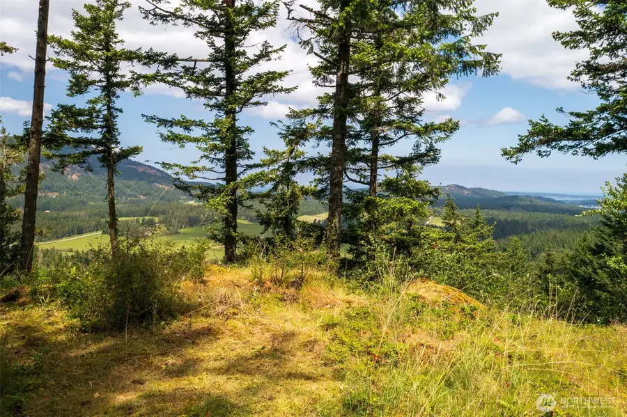 1700 Mountain Crest, Eastsound, WA 98245 - Image #2