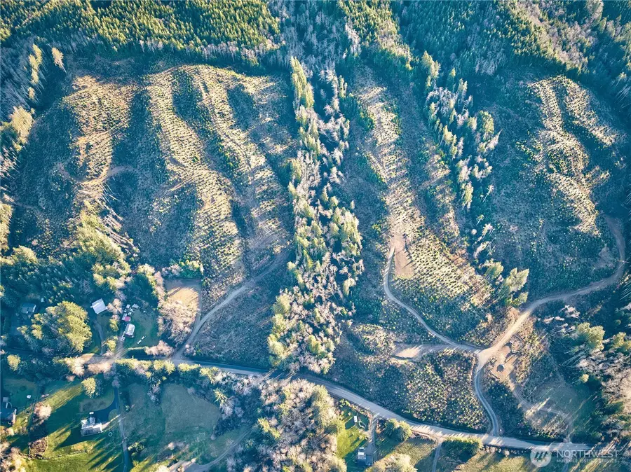 0 South Valley Road, Naselle, WA 98638 - Image #3