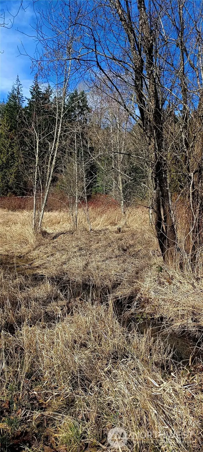 2610 E 39th Terrace, Bellingham, WA 98266 - Image #3