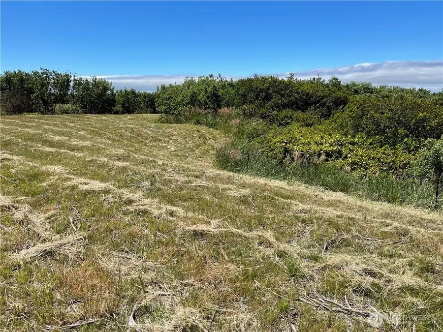 72 Dunes Lane #21, Ocean City, WA 98569 - Image #2