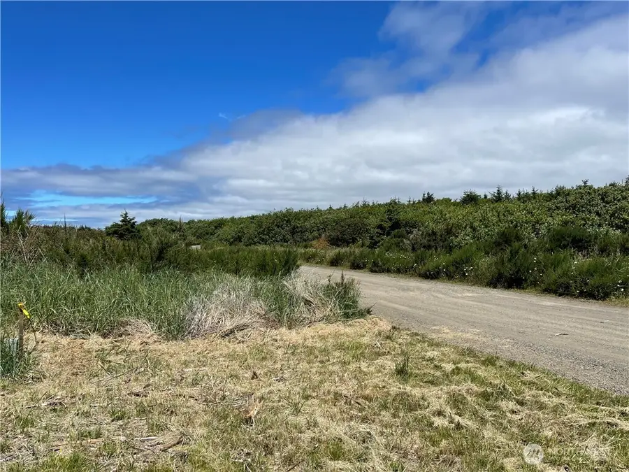 72 Dunes Lane #21, Ocean City, WA 98569 - Image #3