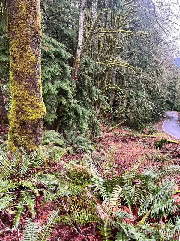 34 Green Hill Road, Bellingham, WA 98229