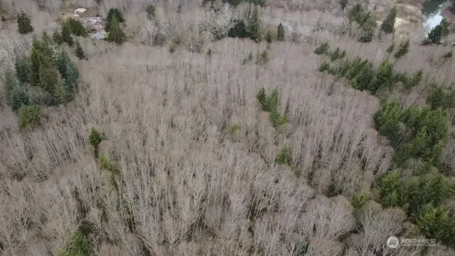 733 State Route 107 Highway, Montesano, WA 98563 - Image #1