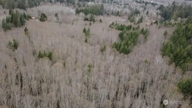 733 State Route 107 Highway, Montesano, WA 98563 - Image #3