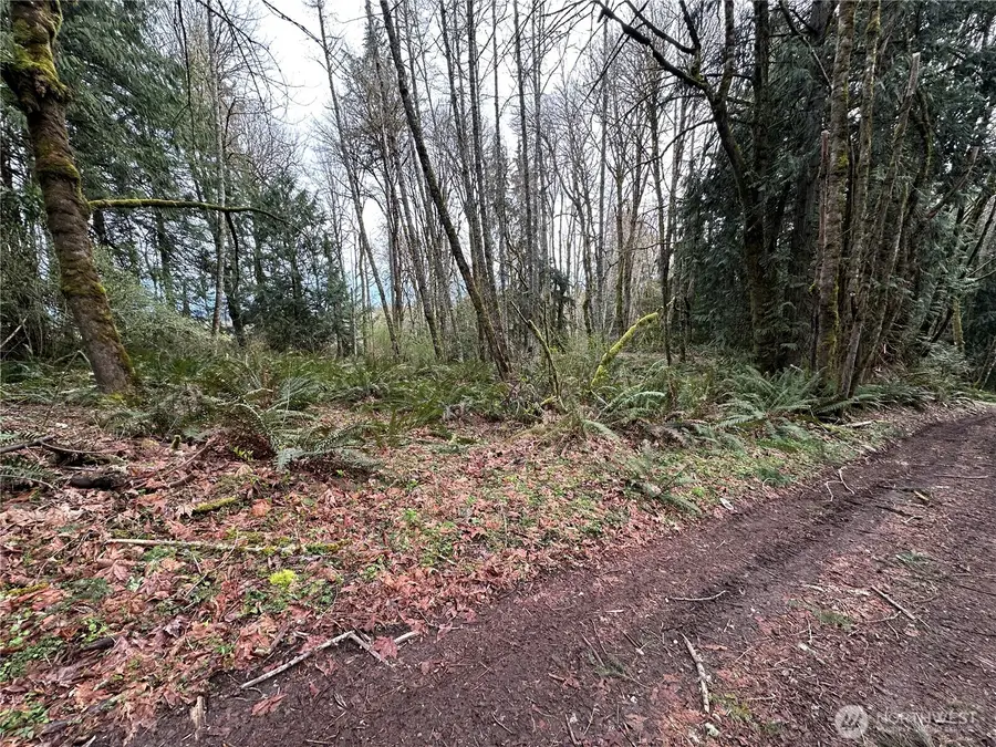 22 Nevada Avenue E, Port Orchard, WA 98366 - Image #2