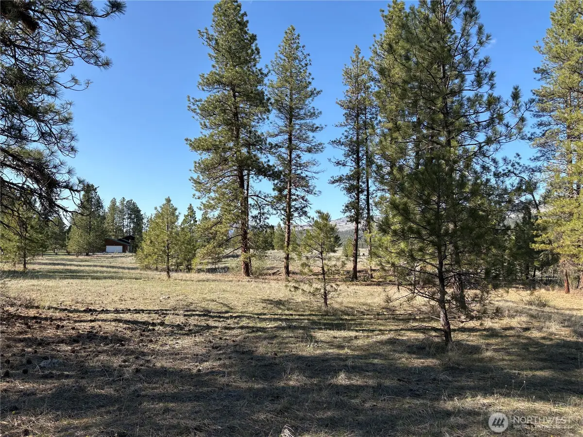 0 Tamarack Road #44, 45 & 46, Tonasket, WA 98855 - #1