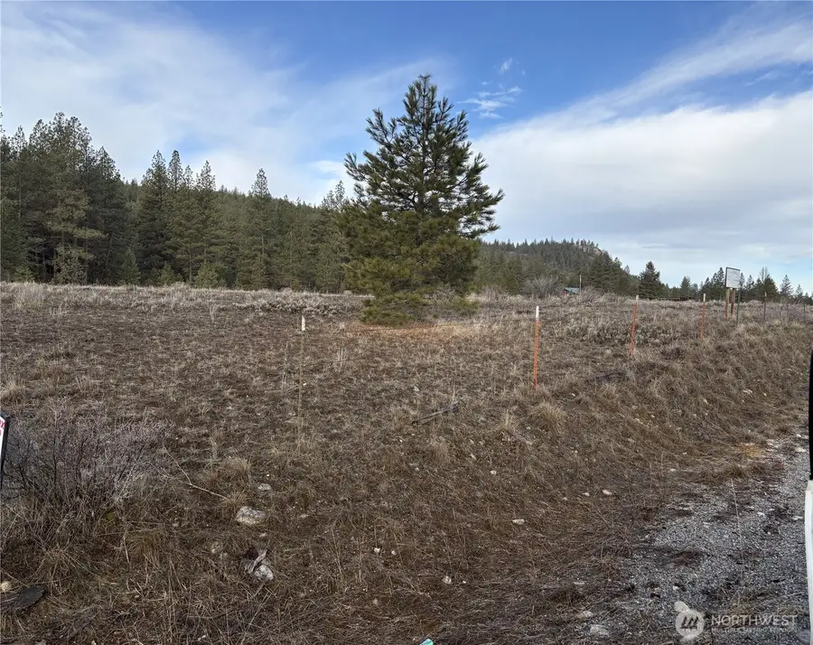 0 Tamarack Road #44, 45 & 46, Tonasket, WA 98855 - #3