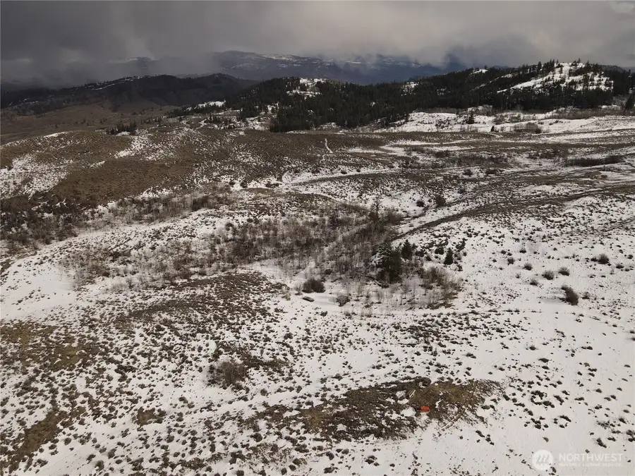 0 Ellemeham Mountain Road, Oroville, WA 98844 - Image #3