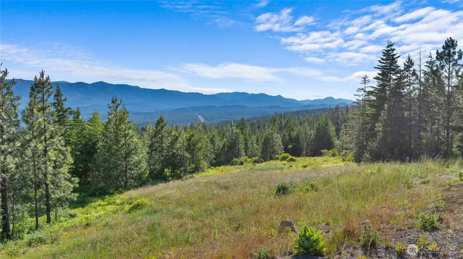 31 Forest Ridge Drive #31, Cle Elum, WA 98922 - Image #3