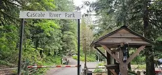 64225 Lookout Mountain Loop #180, Marblemount, WA 98267 - Image #3