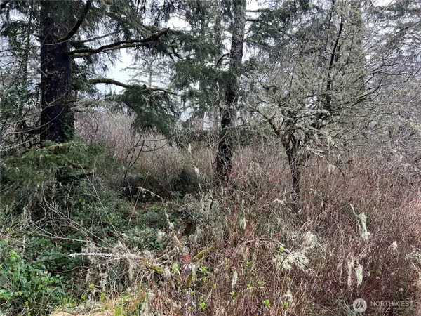 0 102nd Place #6-7, Long Beach, WA 98631