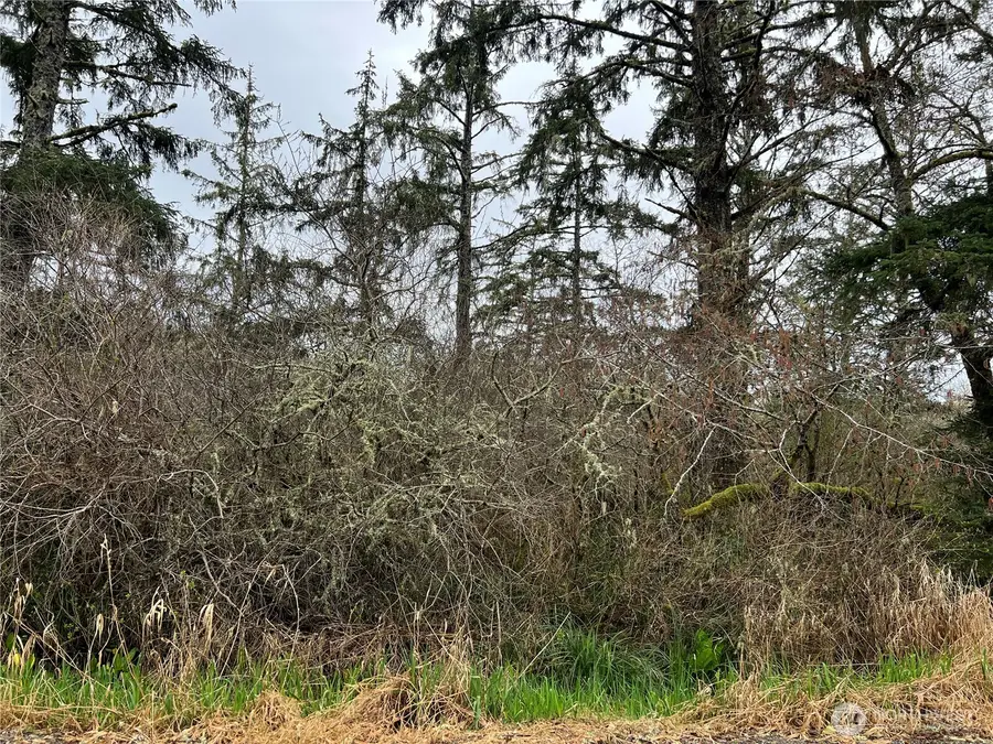 0 102nd Place #6-7, Long Beach, WA 98631 - Image #2