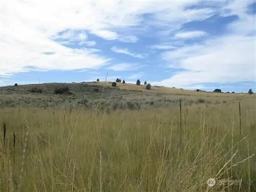 0 Road 20 Nw Or Peach Rd, Mansfield, WA 98843 - Image #1