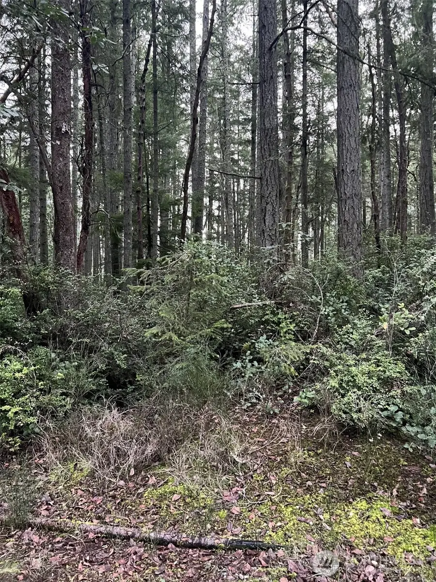 8811 127th Avenue Ct, Anderson Island, WA 98303 - Image #3