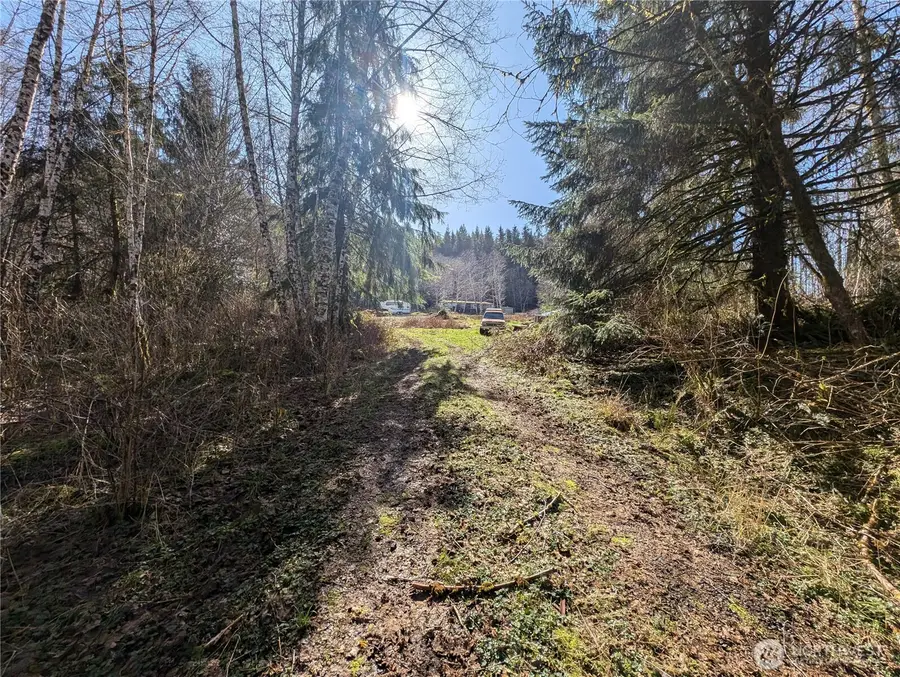 215 Elk Creek Ridge Road, Forks, WA 98331 - Image #3