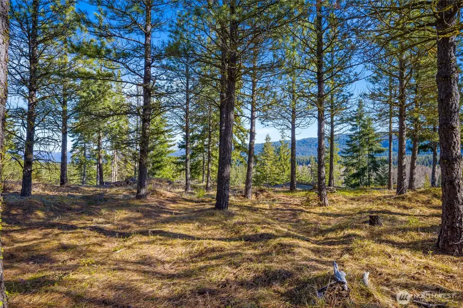 39 Gold Leaf Lane #3-16-39, Cle Elum, WA 98922 - Image #3