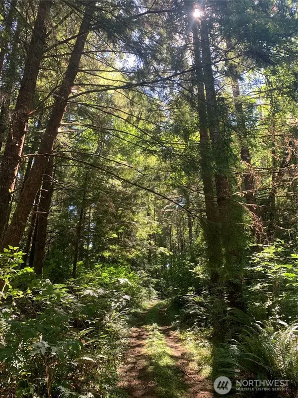 285 Parpala Road #Tract 5, Naselle, WA 98638