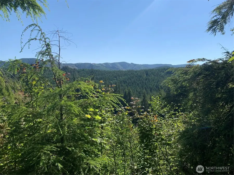 285 Parpala Road #Tract 5, Naselle, WA 98638 - #2