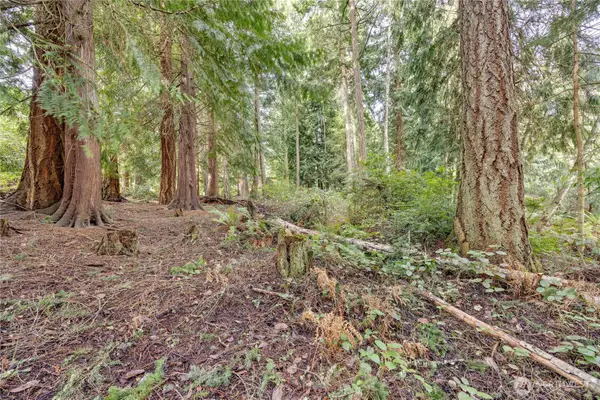 225 Belvedere Drive #252, Port Townsend, WA 98368