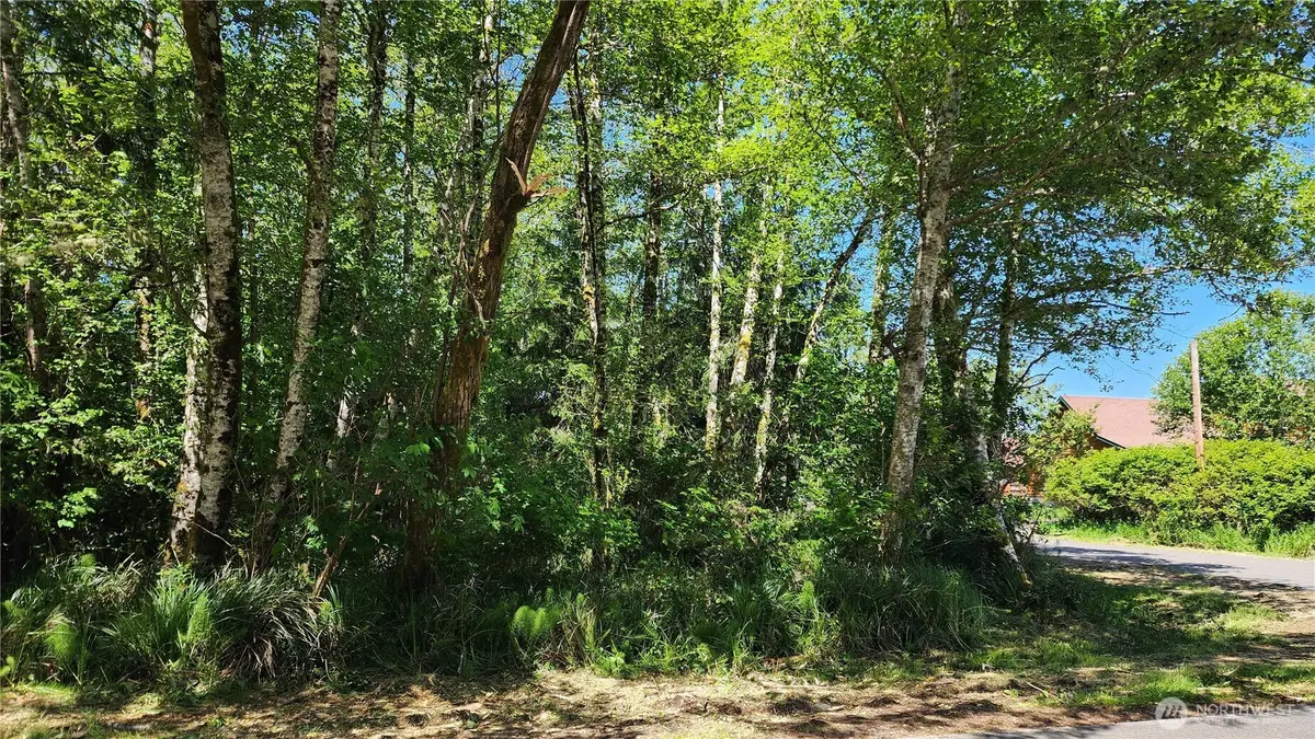 801 Duck Lake Drive Ne #316, Ocean Shores, WA 98569 - Image #1