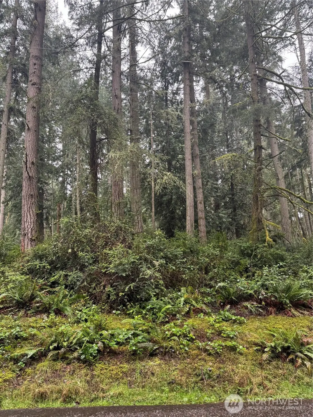 12708 Lovass Road #18, Anderson Island, WA 98303 - #1